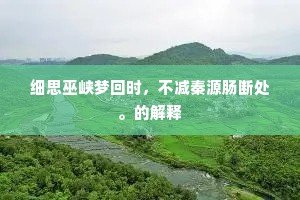 细思巫峡梦回时，不减秦源肠断处。的解释