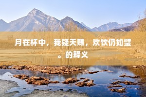 月在杯中，我疑天赐，欢饮仍如璧。的释义
