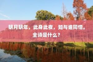明月明年，此身此夜，知与谁同惜。全诗是什么？