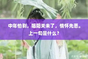 中年怕别，唱阳关未了，情怀先恶。上一句是什么？