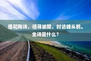 细和陶诗，径寻坡隐，时访峰头鹤。全诗是什么？
