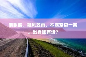 沸眼底、鞭风笠雨，不满茶边一笑。出自哪首诗？