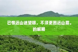已恨远山迷望眼，不须更画远山眉。的解释