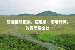 暗恼潘郎旧恨，应追念、菊老残英。的意思及出处
