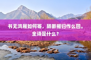 书无鸿雁如何寄，肠断摧归作么回。全诗是什么？