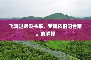 飞鸿过尽没书来，梦魂依旧阳台雨。的解释