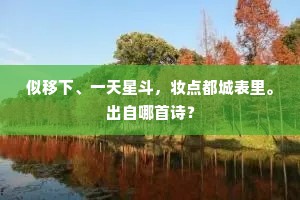 似移下、一天星斗，妆点都城表里。出自哪首诗？