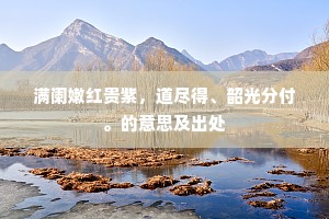 满阑嫩红贵紫，道尽得、韶光分付。的意思及出处