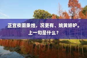 正宜夜阑秉烛，况更有、姚黄娇妒。上一句是什么？