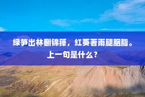 绿笋出林翻锦箨，红葵著雨腿胭脂。上一句是什么？