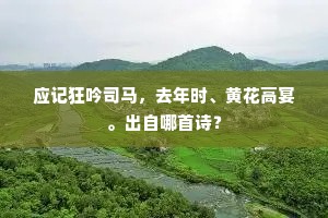 应记狂吟司马，去年时、黄花高宴。出自哪首诗？