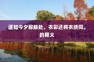 遥知今夕称觞处,衣彩还将衣绣同。的释义 遥知今夕称觞处,衣彩还将衣绣同。的释义