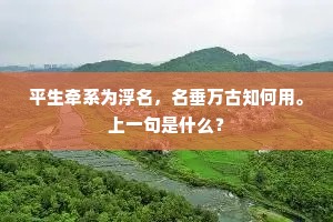 平生牵系为浮名，名垂万古知何用。上一句是什么？