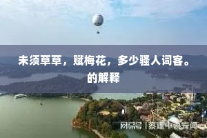未须草草，赋梅花，多少骚人词客。的解释