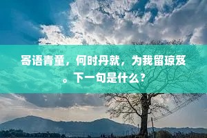 寄语青童，何时丹就，为我留琼笈。下一句是什么？