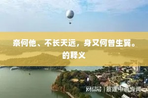 奈何他、不长天远,身又何曾生翼。的释义 奈何他、不长天远,身又何曾生翼。的释义