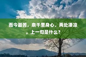 而今最苦，奈千里身心，两处凄凉。上一句是什么？