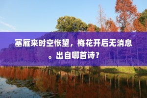 塞雁来时空怅望，梅花开后无消息。出自哪首诗？