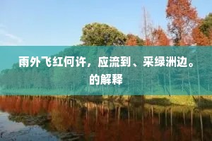 雨外飞红何许，应流到、采绿洲边。的解释