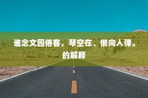 谁念文园倦客，琴空在、懒向人弹。的解释