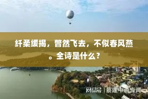 纤柔缓揭，瞥然飞去，不似春风燕。全诗是什么？