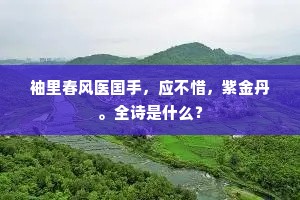 袖里春风医国手，应不惜，紫金丹。全诗是什么？