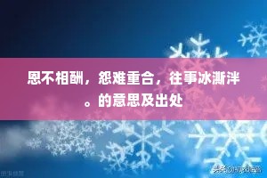 恩不相酬，怨难重合，往事冰澌泮。的意思及出处