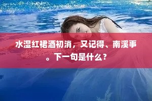 水湿红裙酒初消，又记得、南溪事。下一句是什么？