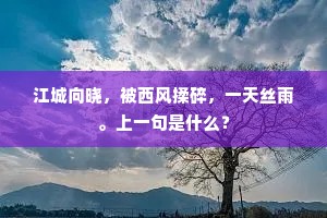 江城向晓，被西风揉碎，一天丝雨。上一句是什么？