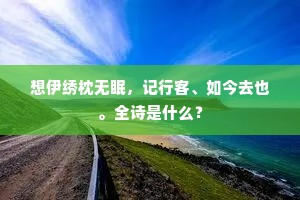 想伊绣枕无眠，记行客、如今去也。全诗是什么？