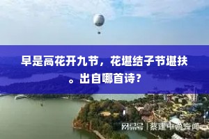 早是高花开九节，花堪结子节堪扶。出自哪首诗？