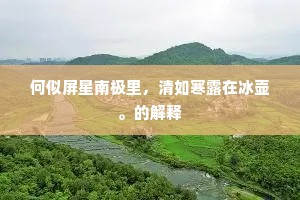 何似屏星南极里，清如寒露在冰壶。的解释