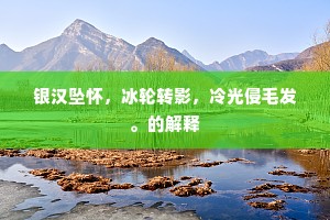 银汉坠怀，冰轮转影，冷光侵毛发。的解释