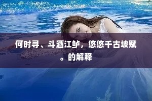 何时寻、斗酒江鲈，悠悠千古坡赋。的解释