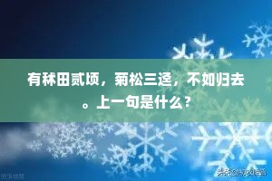 有秫田贰顷，菊松三迳，不如归去。上一句是什么？