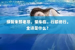 绿鬓朱颜老尽，柴车在、行即终行。全诗是什么？