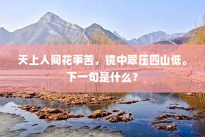 天上人间花事苦，镜中翠压四山低。下一句是什么？