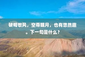 破帽欹风，空尊眠月，也有悠然趣。下一句是什么？