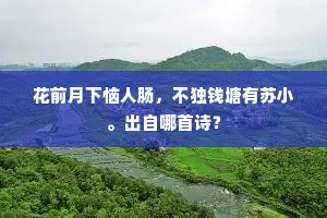 花前月下恼人肠，不独钱塘有苏小。出自哪首诗？