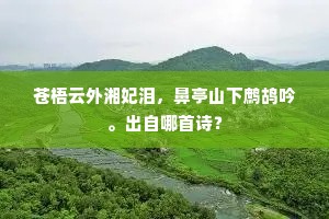 苍梧云外湘妃泪，鼻亭山下鹧鸪吟。出自哪首诗？
