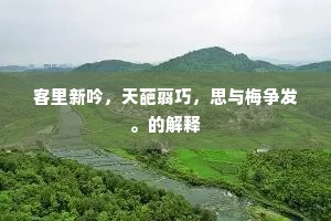 客里新吟，天葩翦巧，思与梅争发。的解释