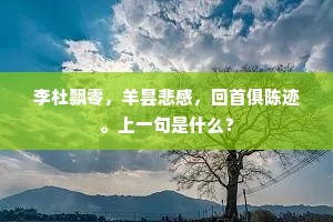 李杜飘零,羊昙悲感,回首俱陈迹。上一句是什么? 李杜飘零,羊昙悲感,回首俱陈迹。上一句是什么?