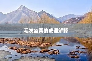 毛发丝粟的成语解释