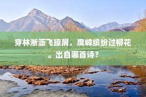 穿林淅沥飞琼屑，度嶂缤纷过柳花。出自哪首诗？