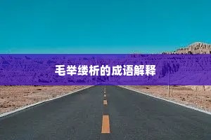 毛举缕析的成语解释 毛举缕析的成语解释