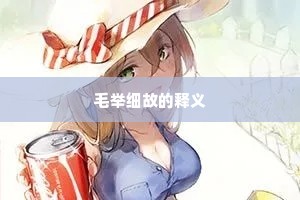 毛举细故的释义