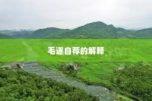 毛遂自荐的解释