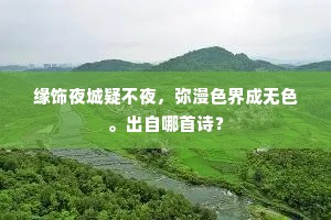 缘饰夜城疑不夜，弥漫色界成无色。出自哪首诗？