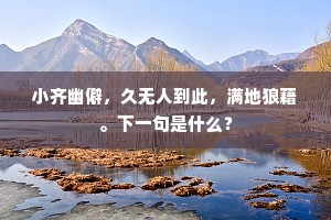 小齐幽僻，久无人到此，满地狼藉。下一句是什么？