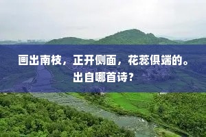 画出南枝，正开侧面，花蕊俱端的。出自哪首诗？